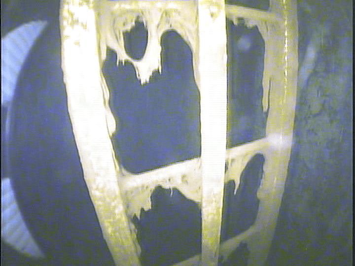 The Do’s and Don’ts of Tank Maintenance The Do’s and Don’ts of Tank Maintenance